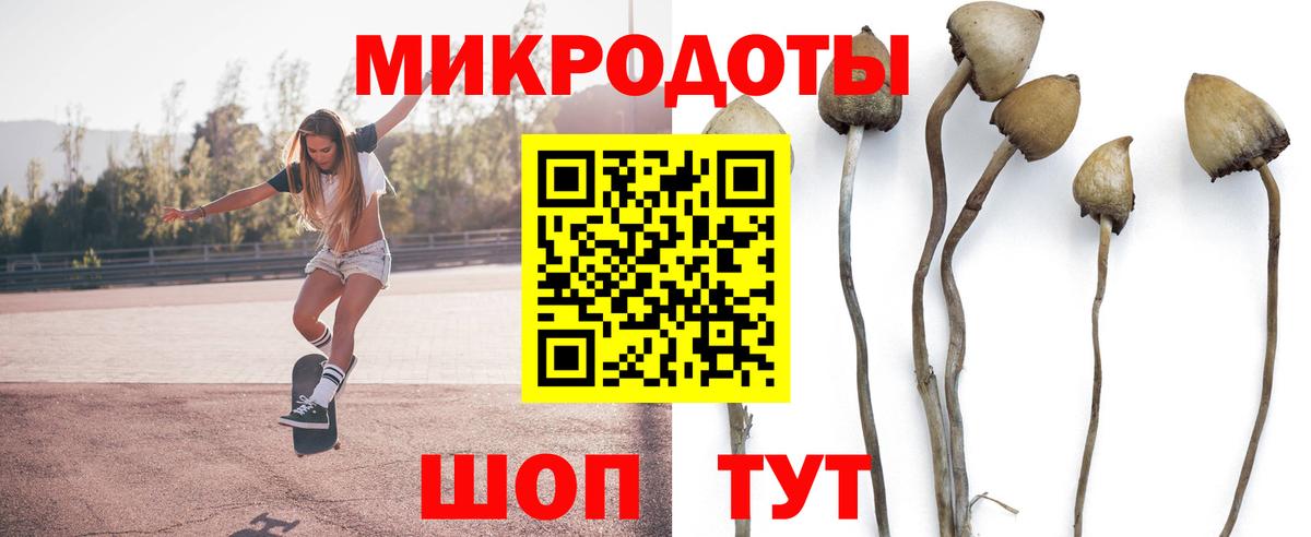 Псилоцибиновые грибы мицелий Малоярославец