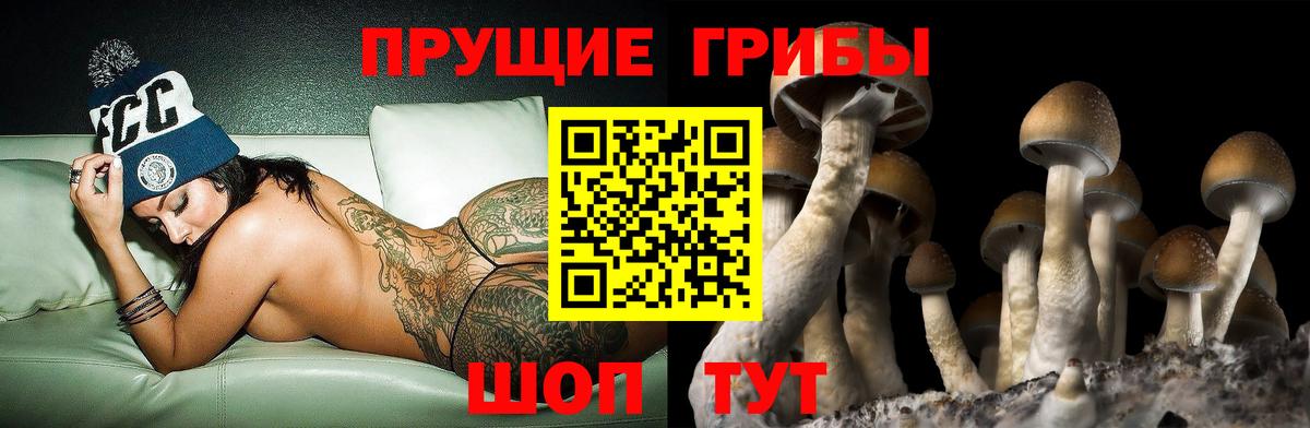 Галлюциногенные грибы мухоморы  Вход с VPN  Малоярославец 